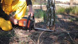 Lawn Grading and Leveling in Wink, TX
